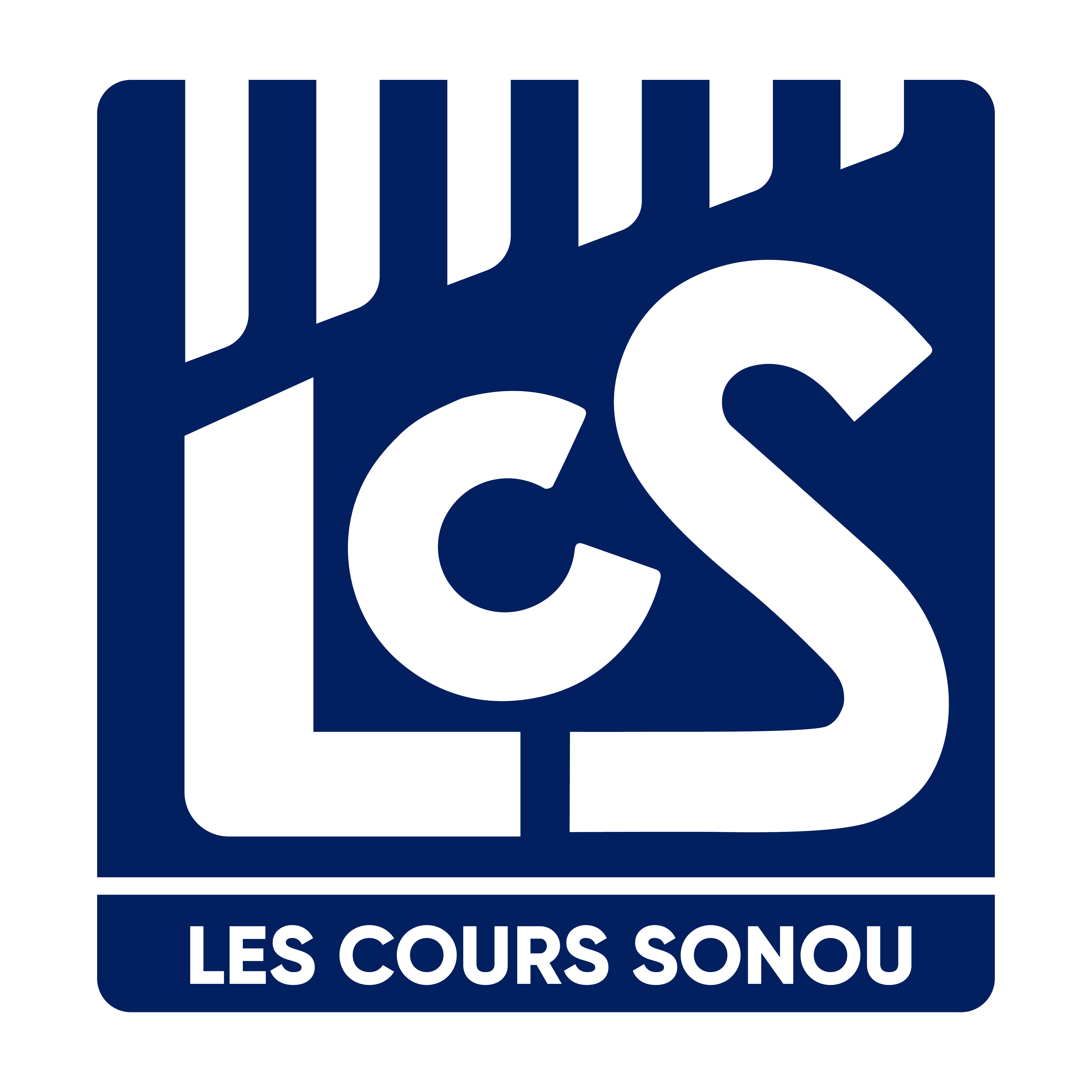 Logo Institut Universitaire Les Cours Sonou